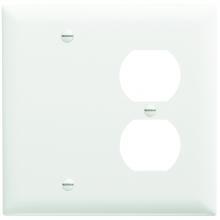 Legrand-Pass & Seymour TP138W - TRADEMASTER PLT 2G 1 BLANK 1 DUP WH