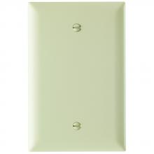 Legrand-Pass & Seymour TPJ13I - TRADEMASTER WP JUMBO 1G BLANK IV